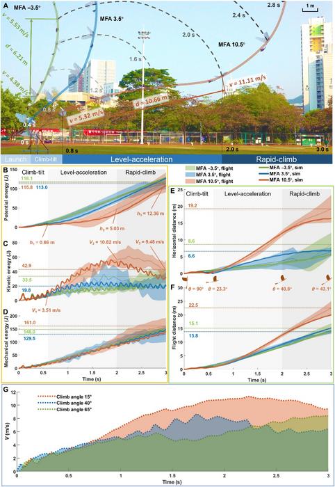 Flight Trajectories, Energy Changes, and Flight Distance Across Flapping-Wing Takeoff Strategies