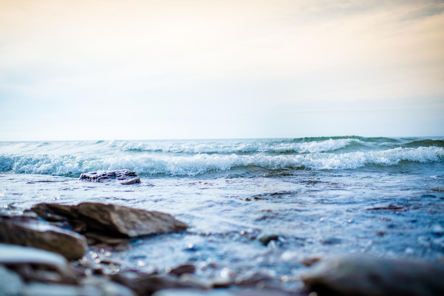Mindfulness Meditation for Anxiety and Cardiovascular Health