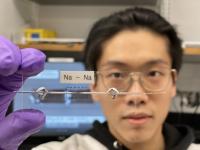 Transparent capillary cell