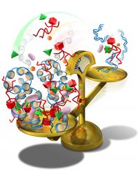 Salk Institute Shows How DNA Repair Proteins Distinguish DNA Breaks at Cellular and And Viral Genome