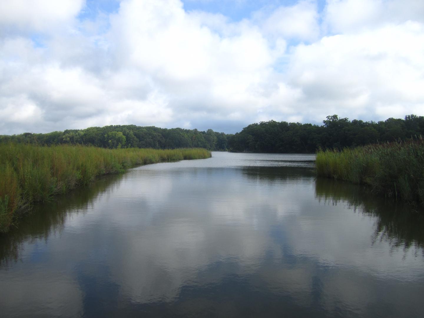 Wetlands