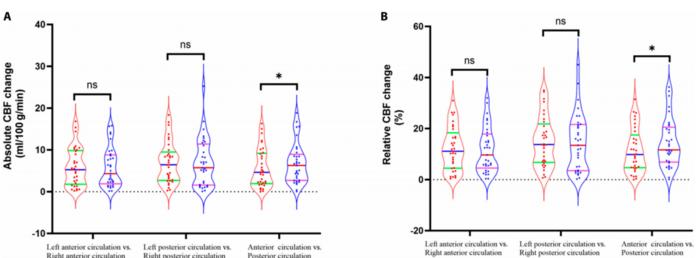 Both (A) the absolute change in cerebral blood flow (CBF) and (B) the relative change demonstrated greater reductions in the posterior circulation than in the anterior circulation.