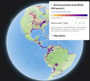 Hemispheric view: the Americas Flyways Atlas