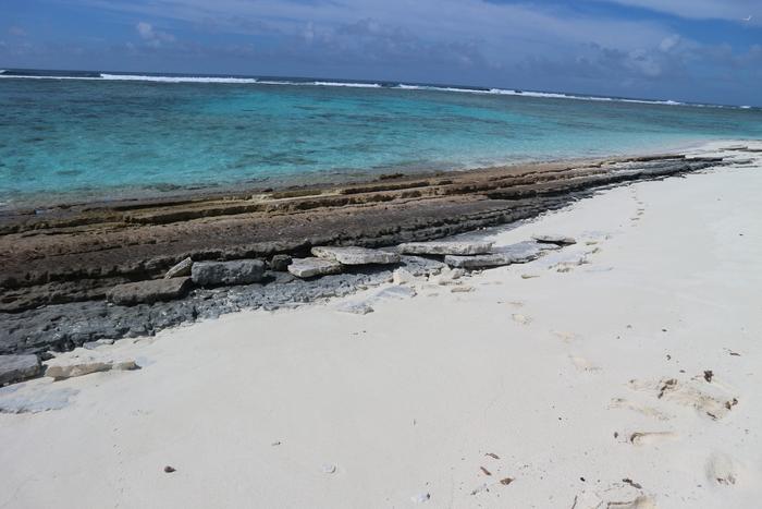 Photograph of exposed beach rock as well as near-shore corals in the motu of Kouaku where labourers gathered building materials for the Catholic mission.