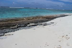 Photograph of exposed beach rock as well as near-shore corals in the motu of Kouaku where labourers gathered building materials for the Catholic mission.