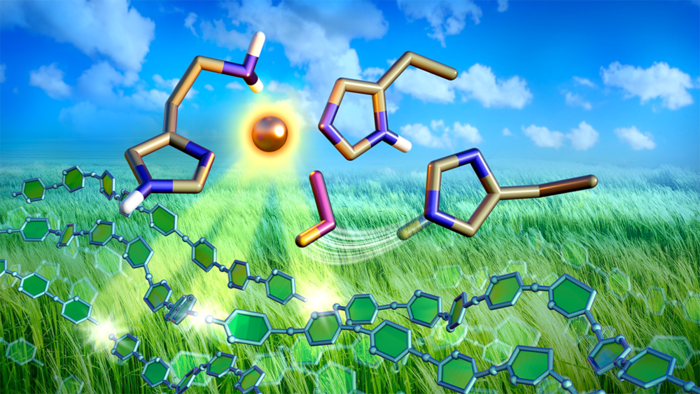 Dynamics between copper and oxygen make a type of enzyme excel at breaking down biomass