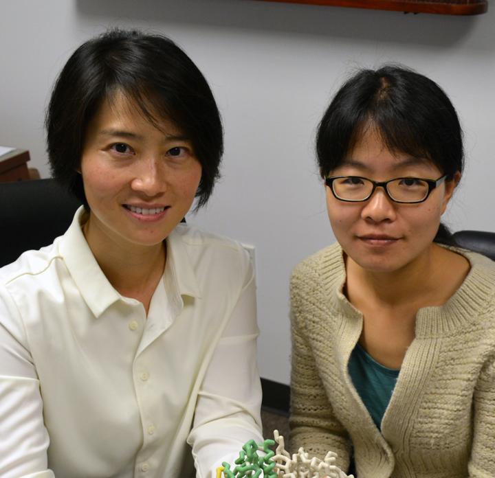 Xiang-Lei Yang and Zhongying Mo, The Scripps Research Institute