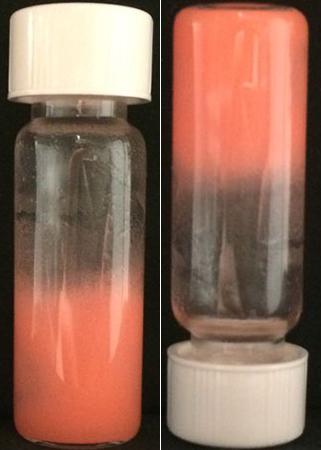 Bijel Vials
