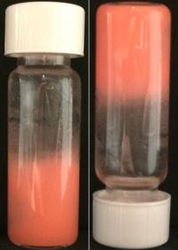Bijel Vials