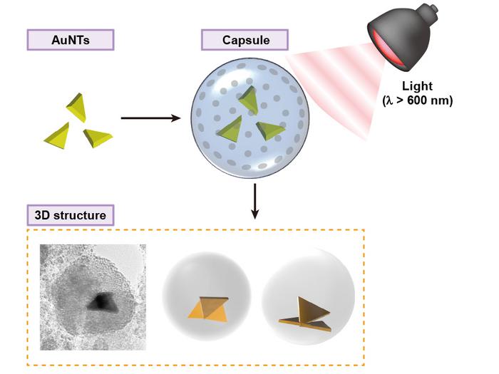 Graphical abstract of the study