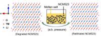 Cathode Recycling at Ambient Pressure - 2