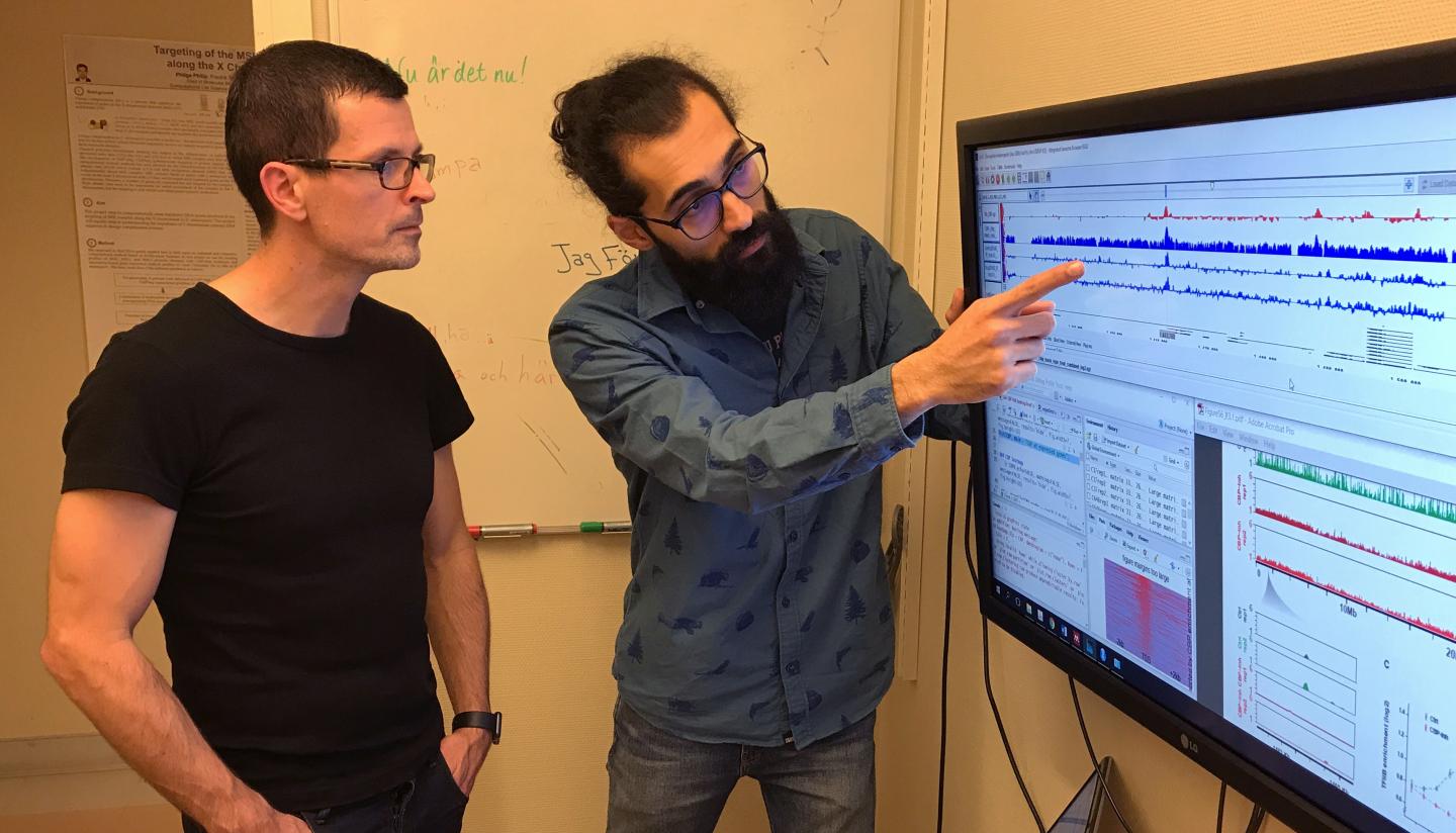 Per Stenberg and PhD student Aman Zare.