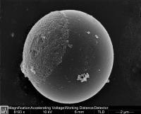 Dot-Janus Particle (2 of 2)