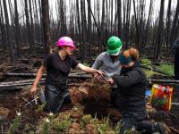 Testing Soil