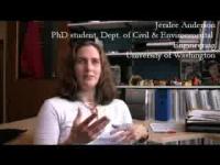 Greenroads Interviews