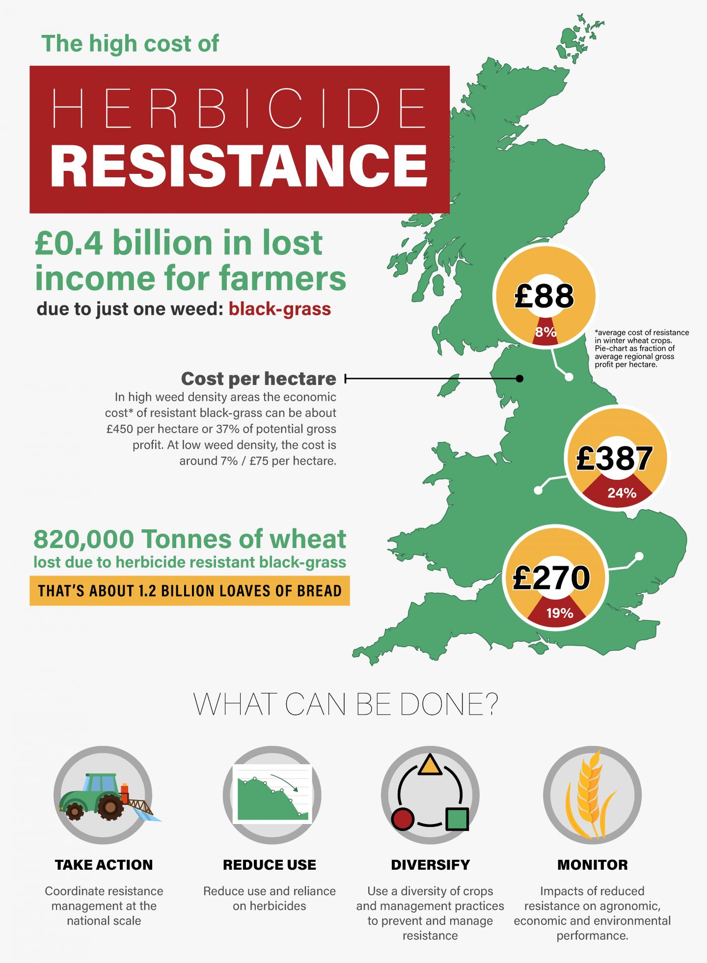 Infographic