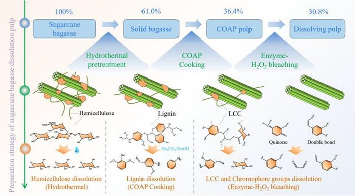 Turning Sugarcane Bagasse into High-Value Dissolving Pulp Through a Greener Pulping Route