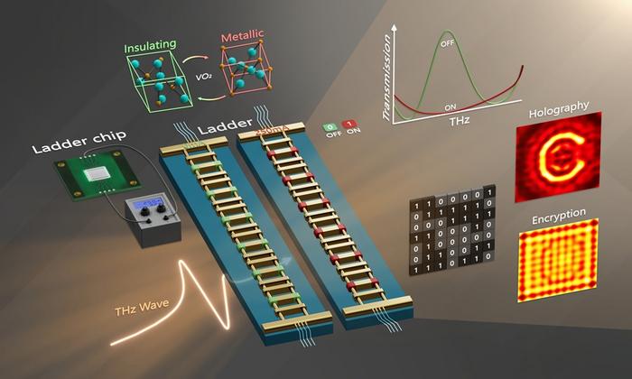 The proposed ‘microladder’ metasurface has a THz response that can be electrically controlled, making it ideal for holographic imaging and encryption in real time.