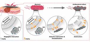 KAIST Researchers Unveil Technical Principles Behind Antibacterial Graphene Toothbrushes with 10 Million Units Sold​