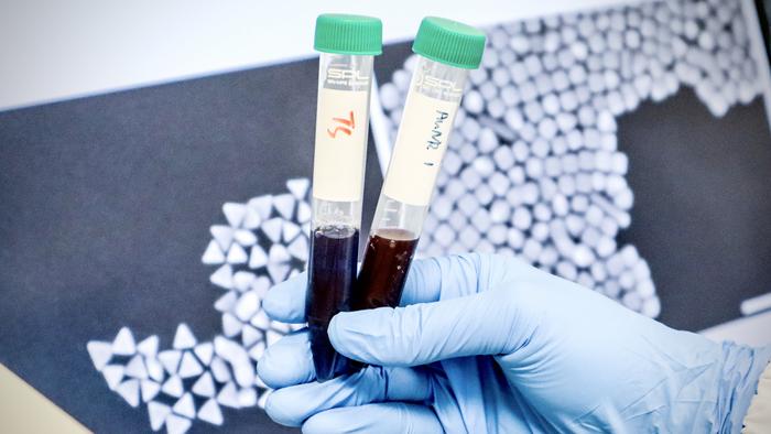 DNA barcodes help NUS researchers pinpoint gold nanoparticles_photo 2