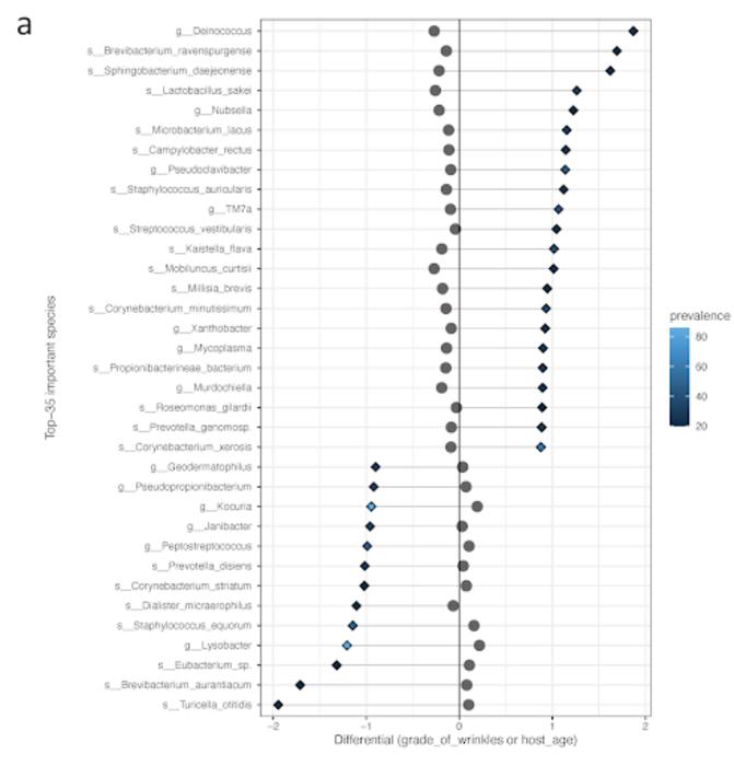 List of taxa most associated with higher grades of wrinkles