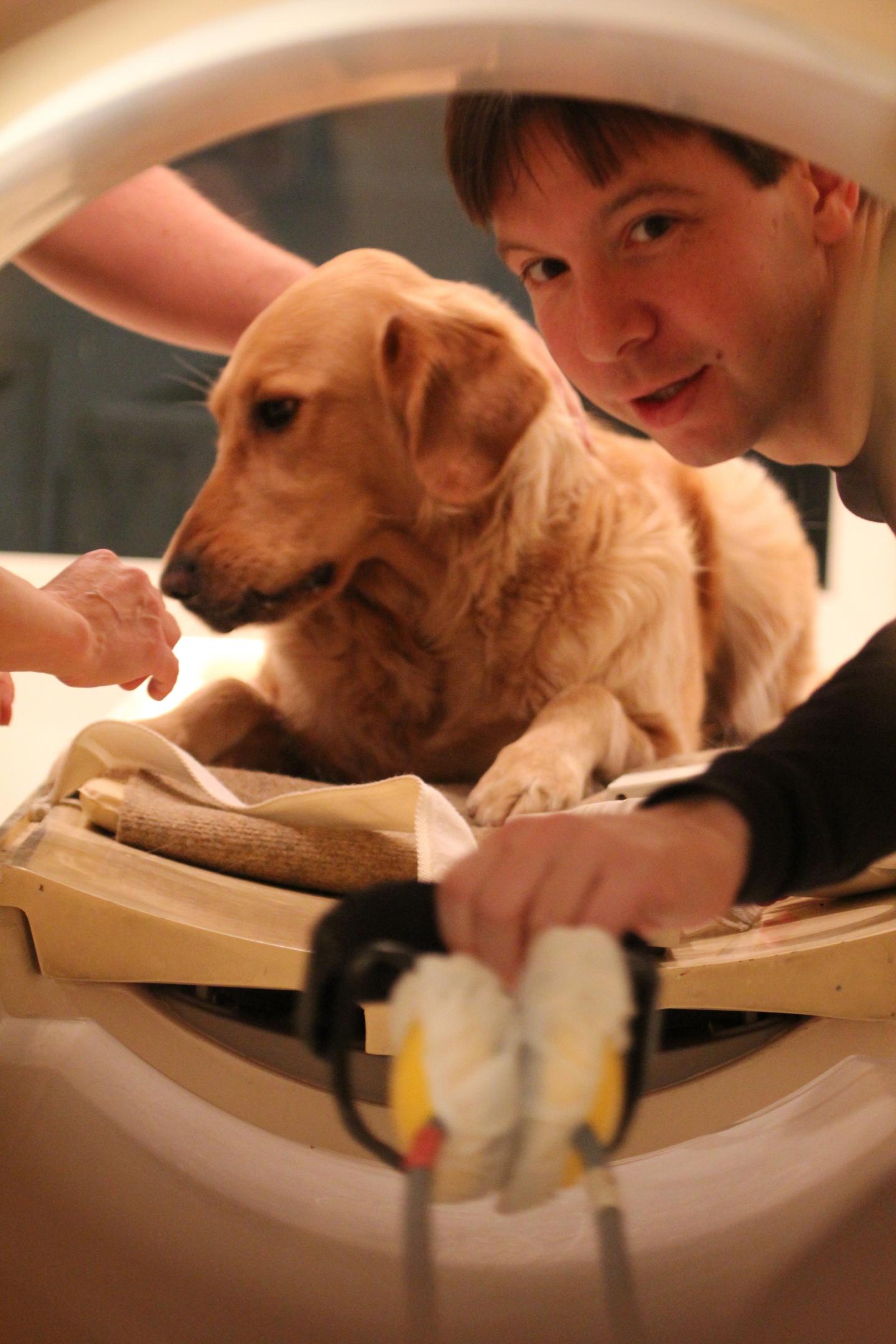 Dogs Understand Both Vocabulary and Intonation of Human Speech (10 of 21)