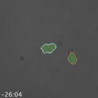 EED Silencing Target Gene Activity