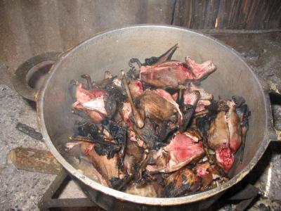 Wild Meat