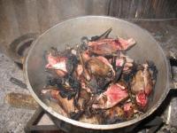 Wild Meat