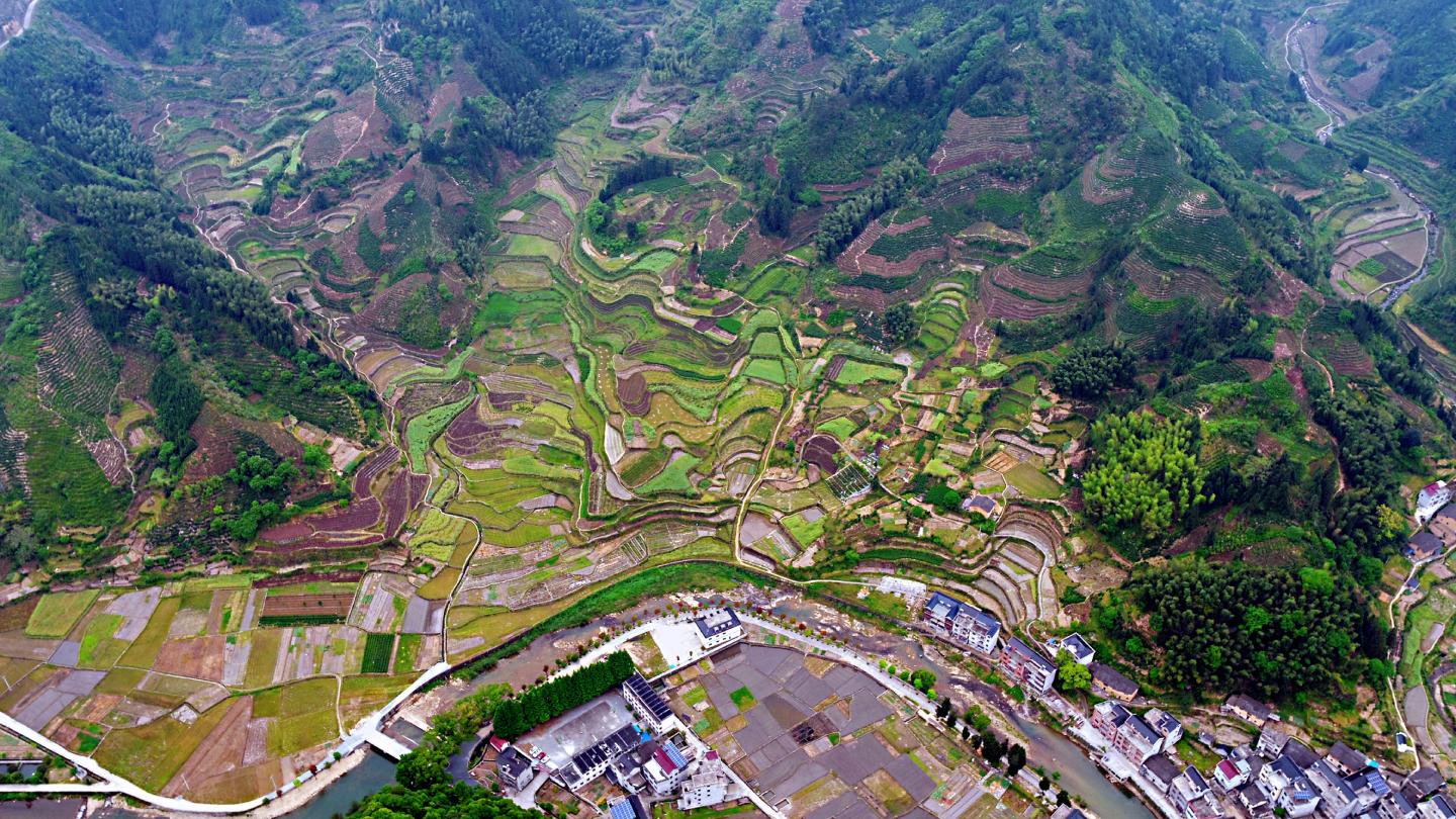 Fragmented Habitat