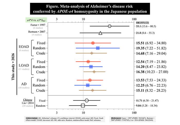Figure. Meta-analysis of Alzheimer’s disease risk conferred by APOE-e4 homozygosity in the Japanese population