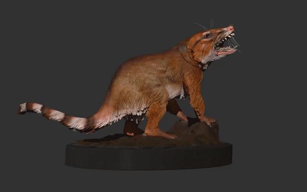 <i>Cifelliodon wahkarmoosuch</i> Video