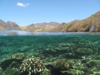 Fiji Land and Sea