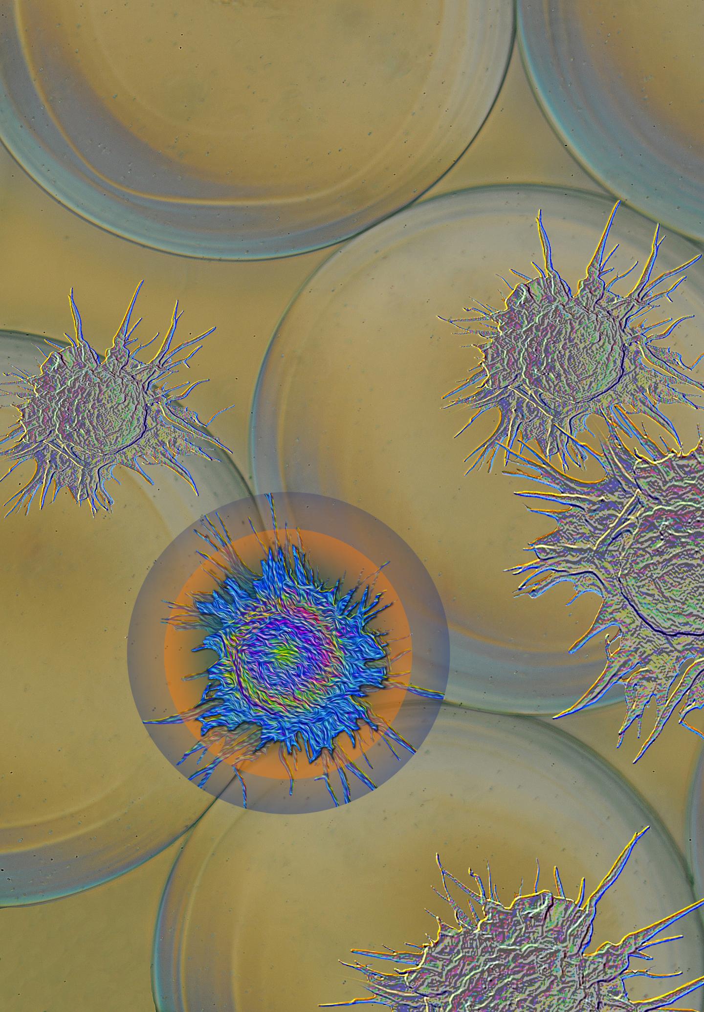 Preventing Fibrosis