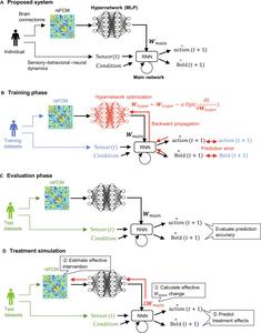 The proposed digital twin brain system