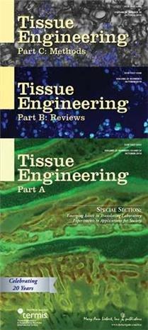 Tissue Engineering, Part C