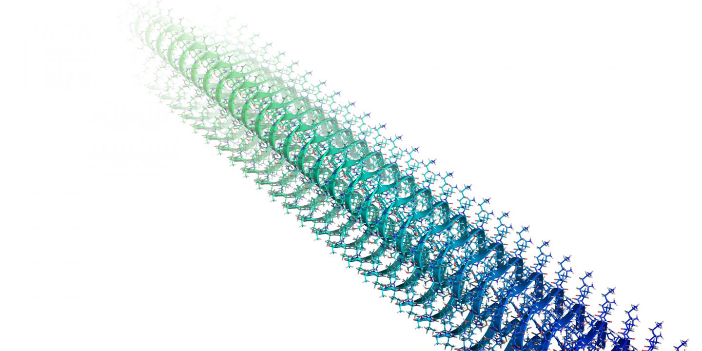 Structural Model Of Alzheimer Amyloid A-beta 1-42 Peptide Fibril