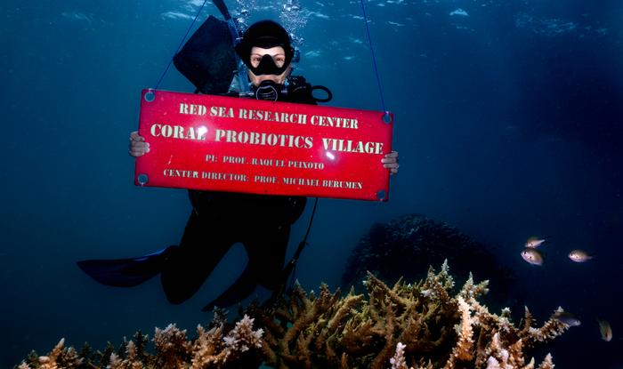 Raquel Peixoto is pictured at the Coral Probiotics Village in the Red Sea