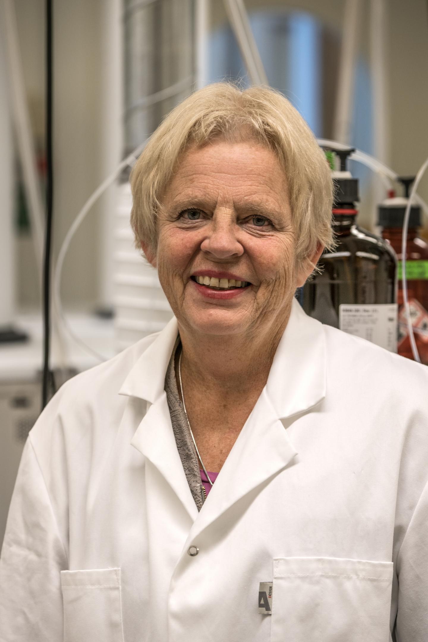 Ann-Sofie Sandberg, Chalmers University of Technology