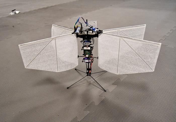 Moth Drone