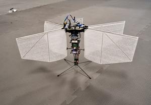Moth Drone
