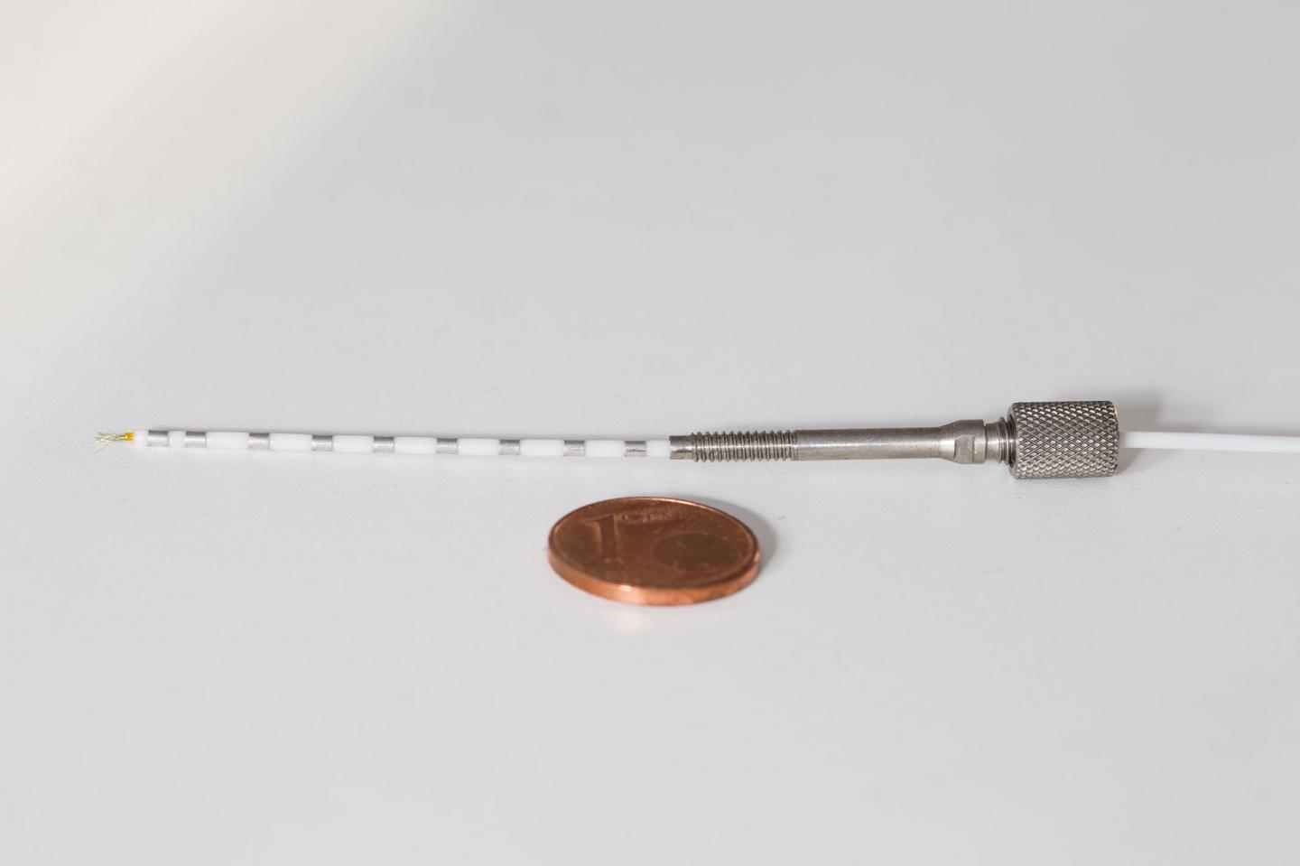 Researchers Can Visualize Reactions of Single Neurons
