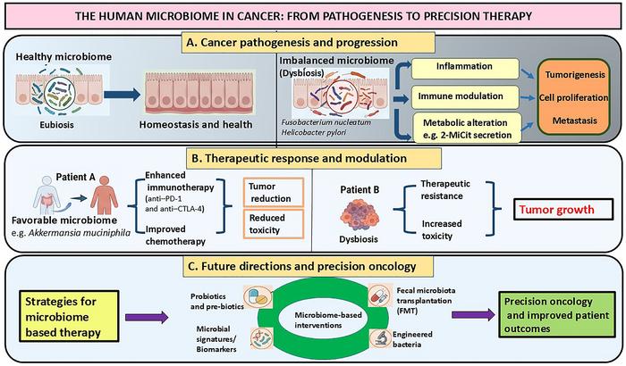 Gut feeling: Microbes at the heart of cancer therapy