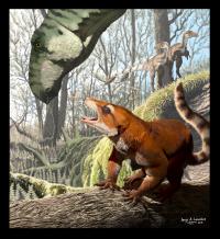 <i>Cifelliodon wahkarmoosuch</i>