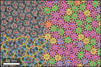 Quasicrystal Lattice from Single-component Building Blocks