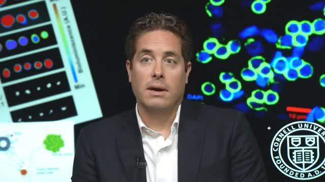 Interview with Biomedical Engineer, Michael King