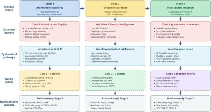A three-stage maturity model for clinical translation of pathology AI