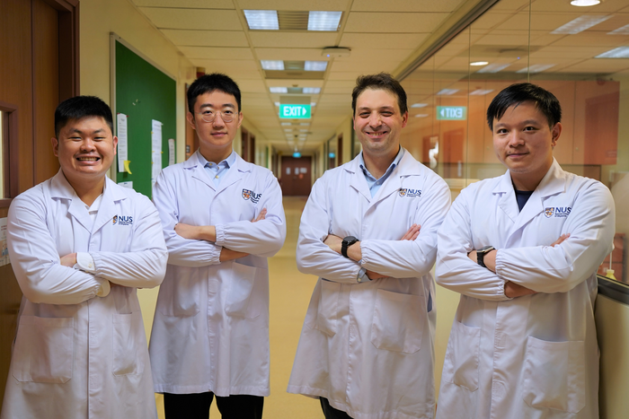 The research team from the Department of Materials Science and Engineering at the NUS College of Design and Engineering