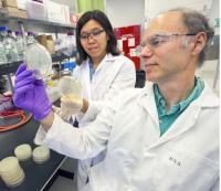 Ee-Been Goh and Harry Beller, DOE/Lawrence Berkeley National Laboratory