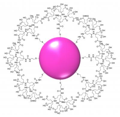 Branch Offices: New Family of Gold-Based Nanoparticles Could Serve as Biomedical 'Testbed'